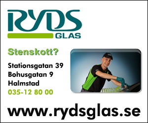 Ryds Bilglas