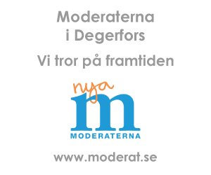 Moderaterna i Degerfors