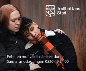 Enheten mot våld i nära relationer