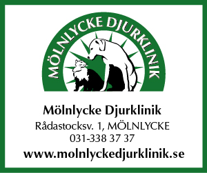 Mölnlycke Djurklinik